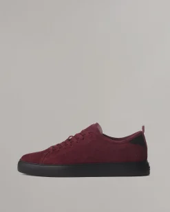 Shop Perry Suede Sneaker Shoes