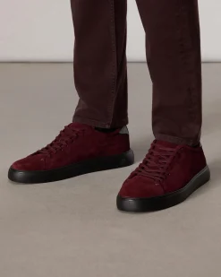 Shop Perry Suede Sneaker Shoes